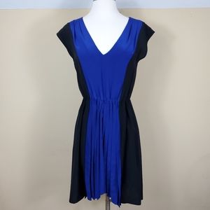 Akiko 100% Silk Colorblock Dress